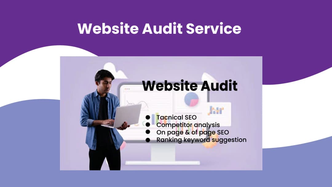 Professional Website Audit Service