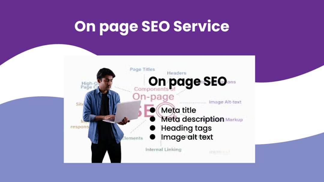 Professional On Page SEO Service